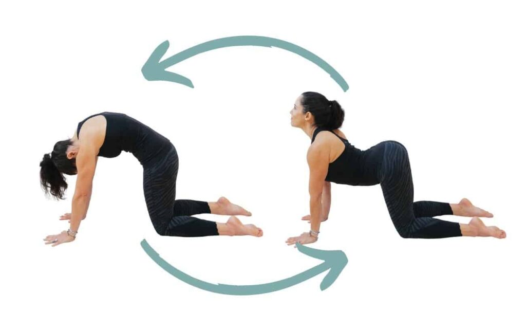 tu-the-yoga-buoi-sang-tu-hien-yoga